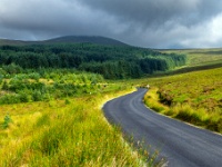 Wicklow